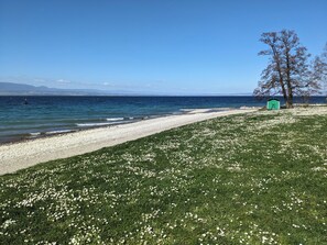 Playa en los alrededores y camastros