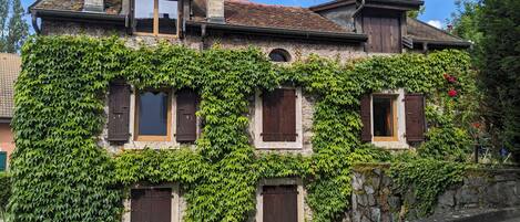 A two-story building with a stone facade partially covered in green ivy.