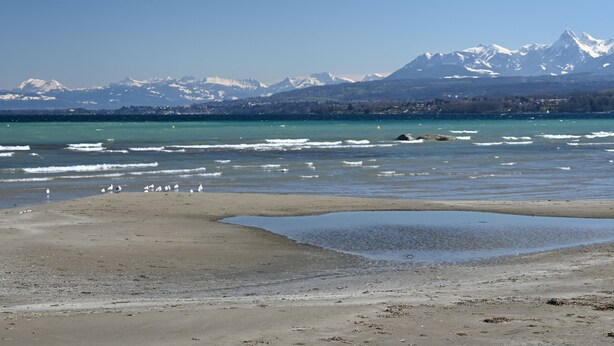 Ein Strand mit freiem Blick auf schneebedeckte Berge im Hintergrund.