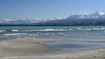 Beach nearby, sun loungers