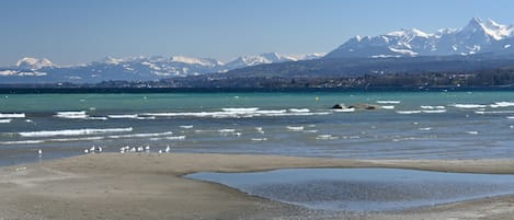 Beach nearby, sun loungers