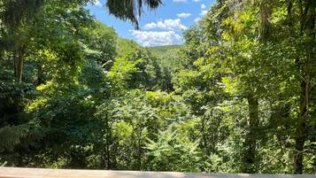 Enjoy a serene forest view from this deck, surrounded by lush greenery.