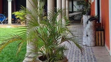 Terras