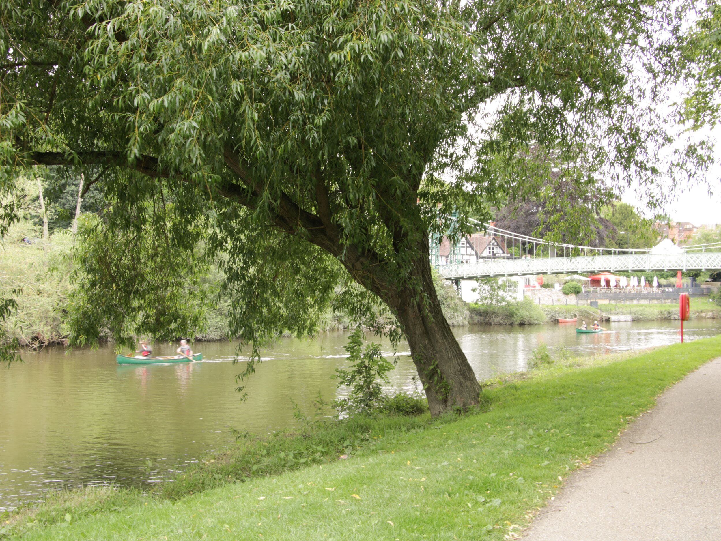 A river with a bridge in the background, a tree in the foreground, and a grassy bank.