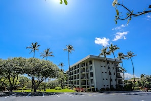 A multi-story hotel with a flat roof, surrounded by palm trees and a clear blue sky. - Airy Kihei Renovated Condo Ocean Views Spacious Lanai Near Kamaole Beach (Kihei)