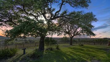 Cottage, 1 phòng ngủ | Khuôn viên nơi lưu trú