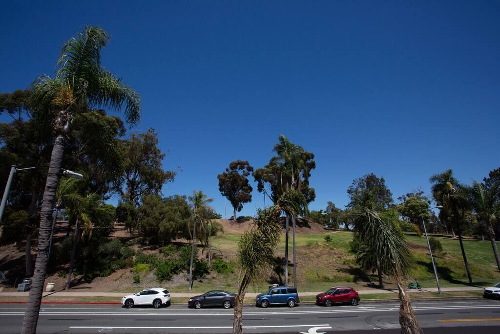 A road with palm trees and a hilly background.