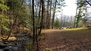 Une zone boisée avec un ruisseau, un champ herbeux et une petite cabane en arrière-plan.