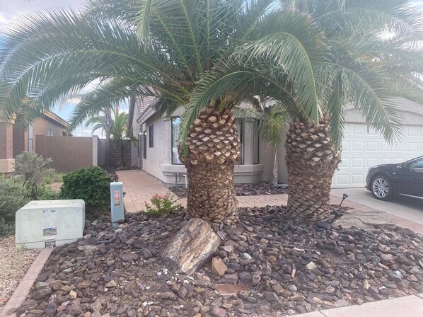 Overnattingsstedets uteområder