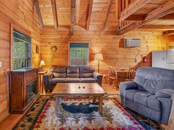 TV, fireplace