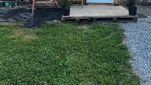 Ein kleines Holzhaus mit weißer Tür und Fenstern, einer Veranda mit Bank und einer Schaukel.