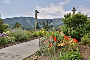 A garden pathway with various plants and flowers, a concrete path, and a backdrop of mountains.
