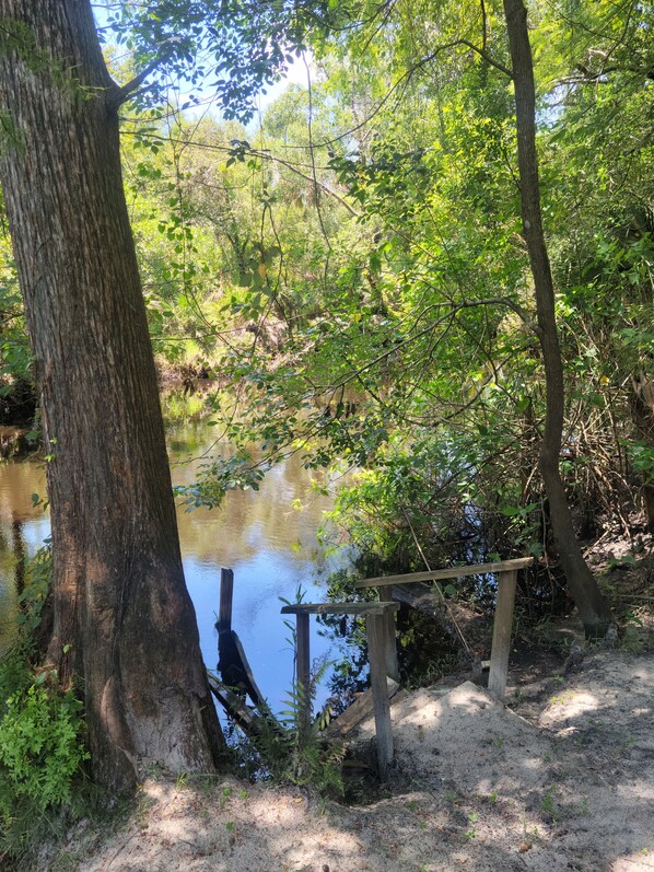 A serene forested area with a wooden bridge over a calm river, surrounded by dense foliage and trees.
