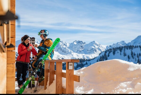 Snø- og skisport