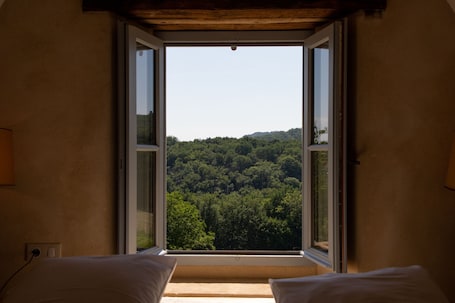 Vista desde la propiedad. La Grange Milou