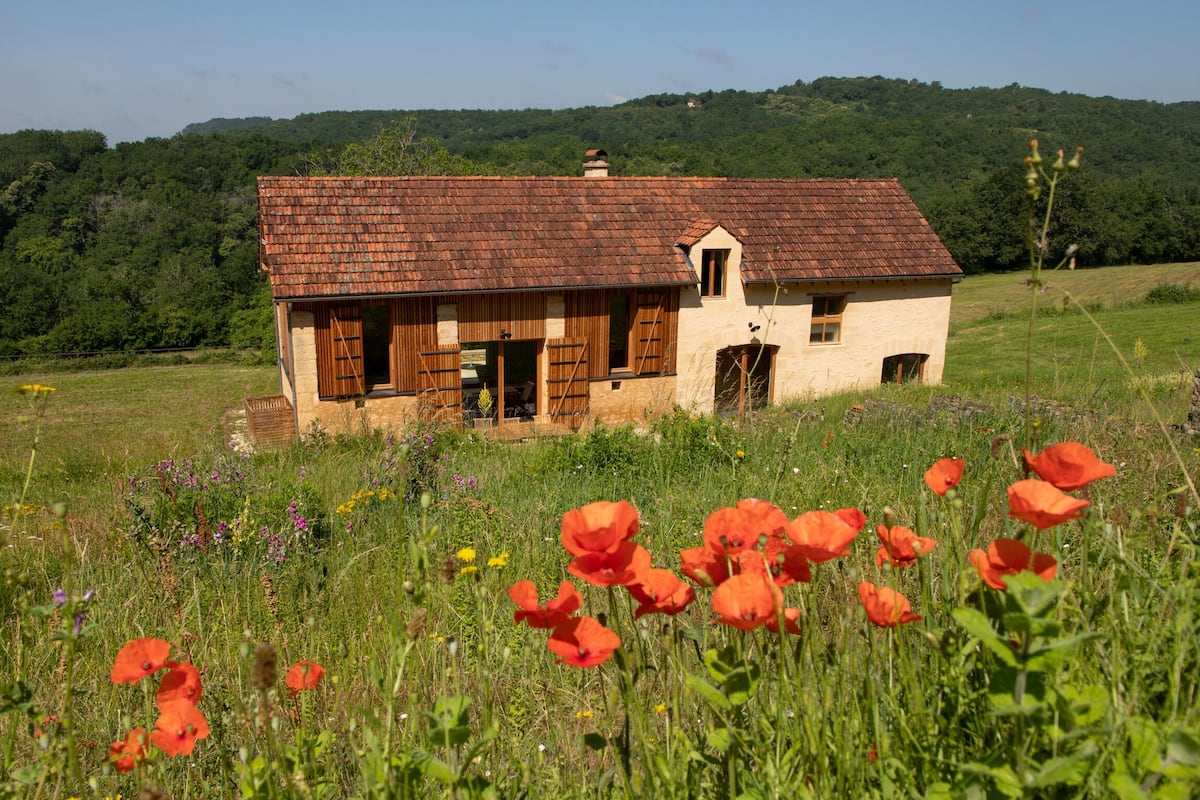 Une maison rustique, avec un toit en tuiles, entourée d’un champ de coquelicots et d’autres fleurs sauvages.