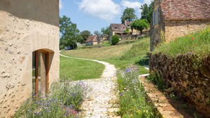 A stone pathway leading to a rustic building with a wooden door, surrounded by wildflowers and a stone wall. - La Grange Milou (Beynac-et-Cazenac)