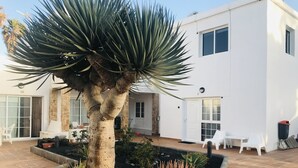 A modern house with a large tree in the center, surrounded by a garden with various plants. - Olas de Lobos (Corralejo)