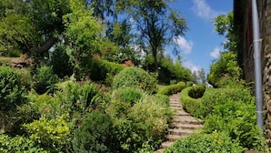 Un jardin agrémenté d’un escalier en pierre, entouré d’une végétation luxuriante et de différentes espèces de plantes.