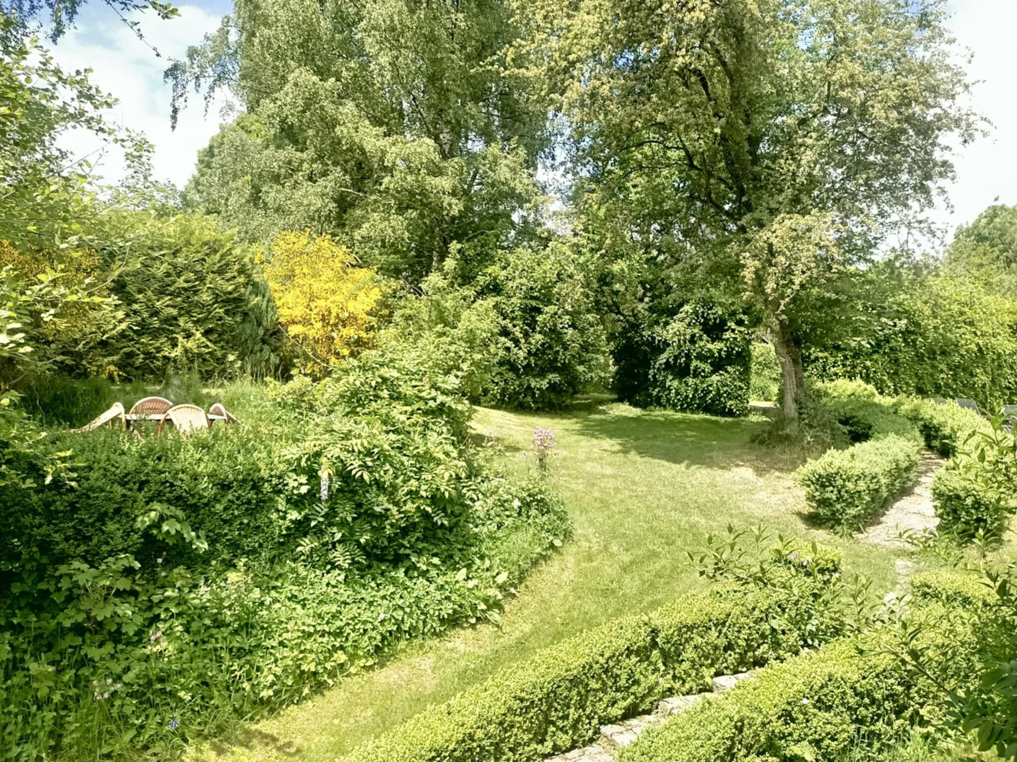 Een weelderige tuin met diverse bomen en struiken, een pad van stenen en een zitgedeelte.