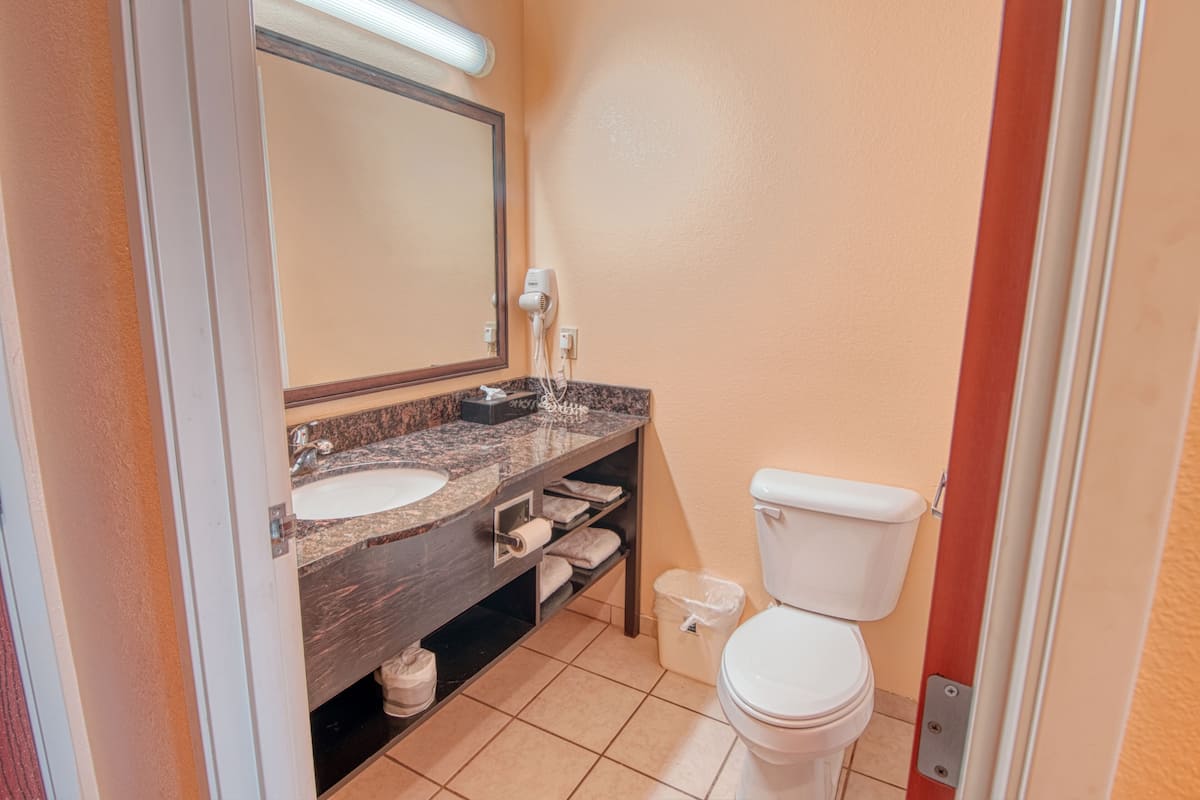 Un baño con lavamanos de mármol, espejo, inodoro y toallero.