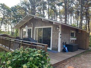 Terrace/patio - Charming cottage tucked away in the woods, convenient to ponds, town, ocean  (Wellfleet)