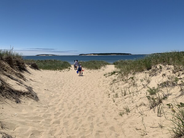 Beach nearby, sun-loungers - Charming cottage tucked away in the woods, convenient to ponds, town, ocean  (Wellfleet)