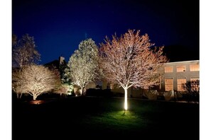 Vista nocturna de un barrio residencial con árboles iluminados por luces del suelo.