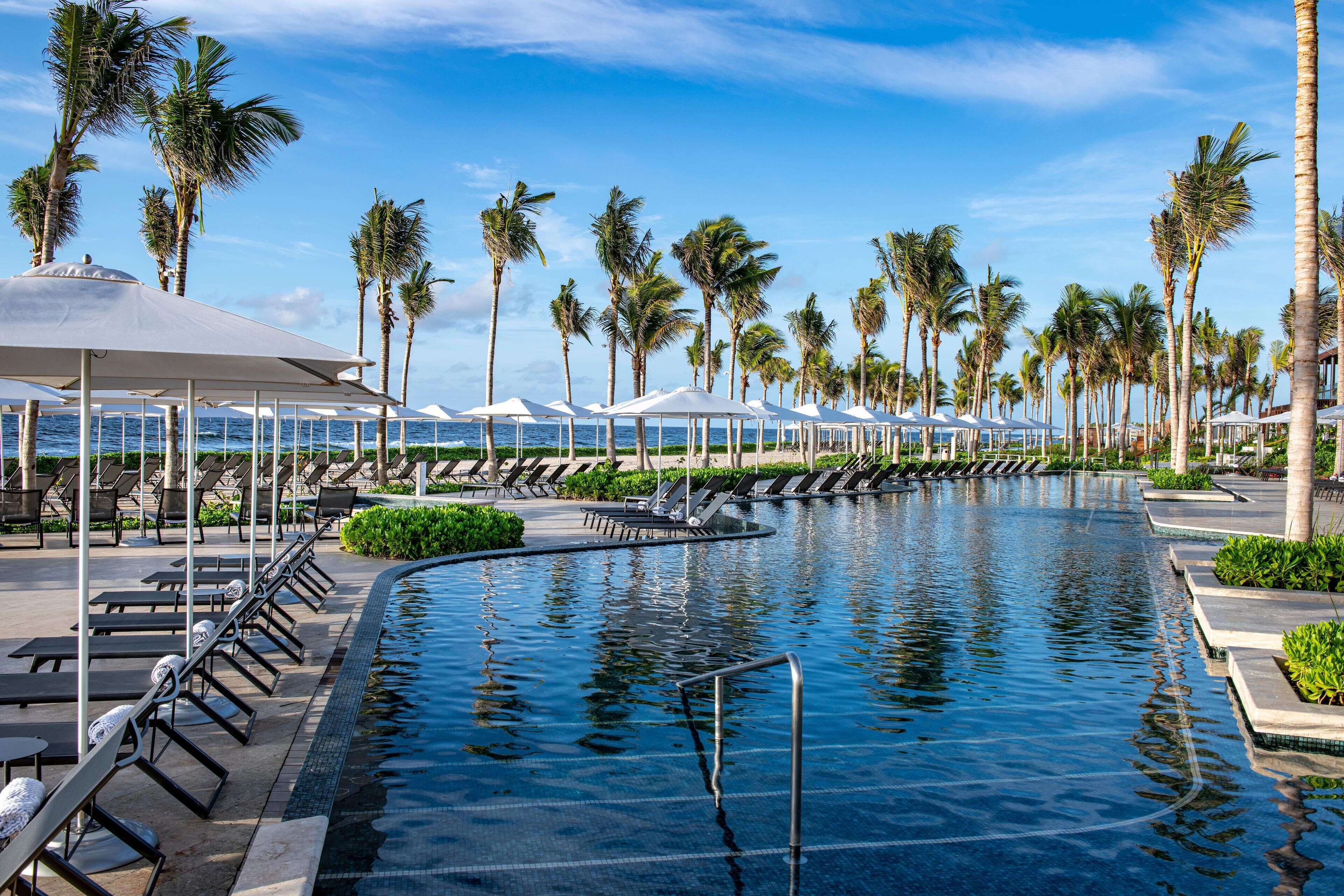 A poolside area with lounge chairs and umbrellas, surrounded by palm trees.