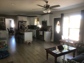Interior - The mangoes and turtles house lake (ST PETERSBURG)