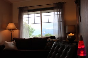 Smart TV, fireplace, video games, books