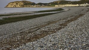平房, 私人浴室 | 其他設施
