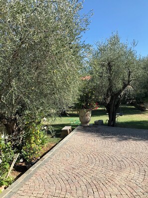 Property grounds - Le Bastidon des Oliviers, countryside at the gateway to Cannes (La Roquette-sur-Siagne)