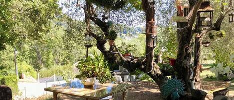 A rustic outdoor seating area with wicker furniture, a wooden table, and a large tree with hanging bird feeders and potted plants.