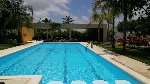A rectangular swimming pool with clear blue water, surrounded by a concrete deck and palm trees. - Casa Gueza (Benito Juarez)