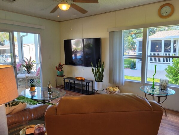 スマートテレビ、DVD プレーヤー