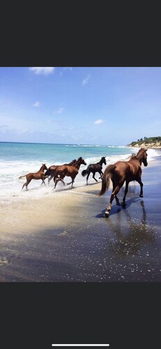 Great view rental unit• Close to everything we love• Peaceful neighborhood