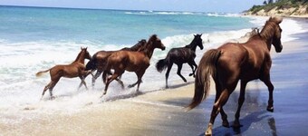 Great view rental unit• Close to everything we love• Peaceful neighborhood 