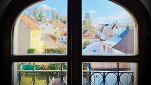 A view through a window with a balcony, featuring a residential area with houses and trees.