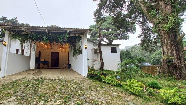 Habitación de cabaña 1 Cama | Blick auf den Garten