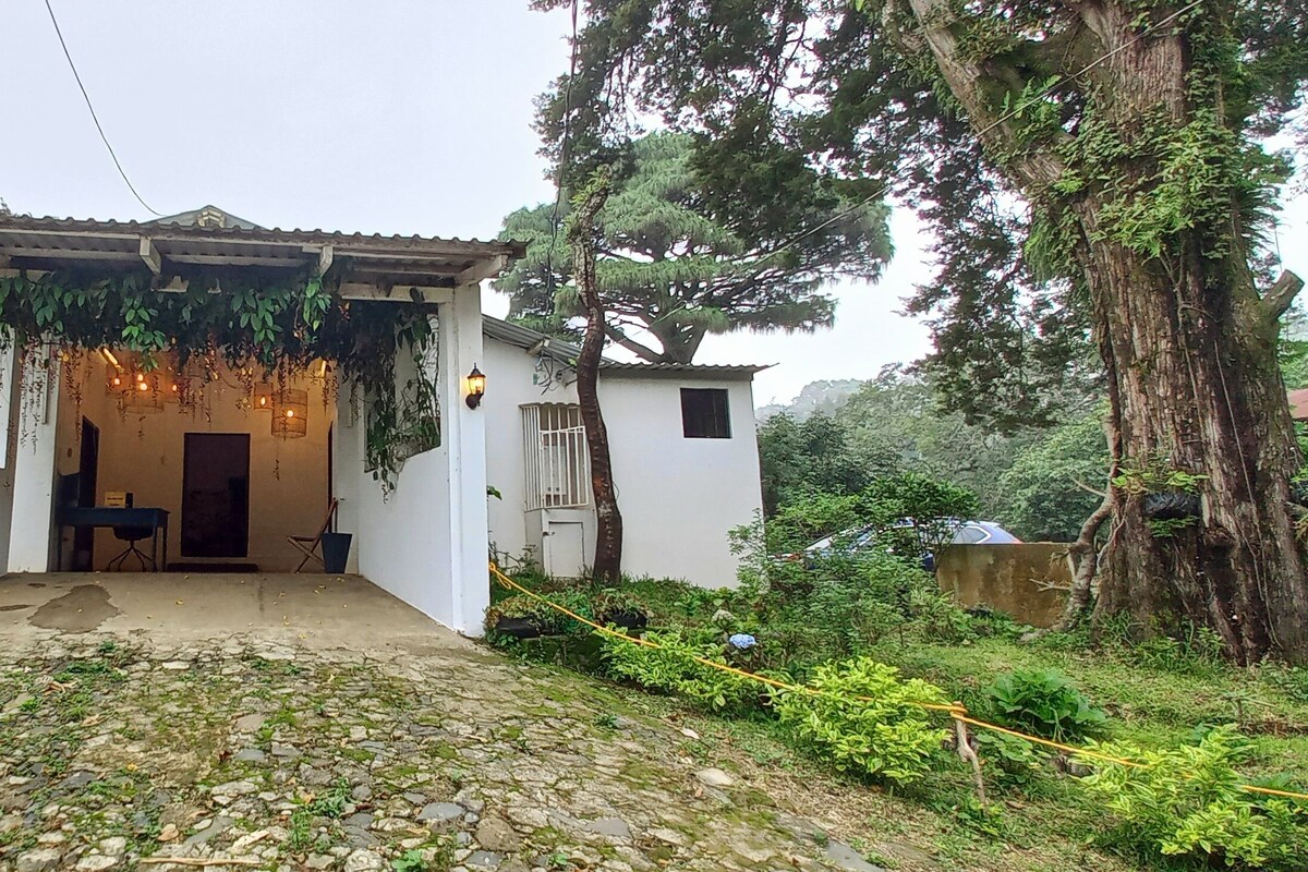 Habitación de cabaña 1 Cama | Blick auf den Garten
