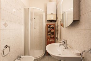 Shower, hair dryer, bidet, towels