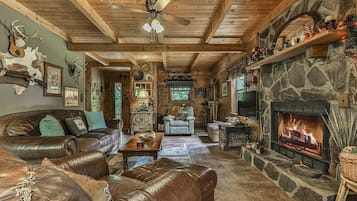 Smart TV, fireplace, DVD player, books