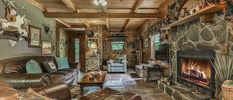 Älytelevisio, takka, DVD-soitin, kirjoja