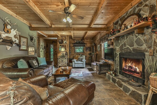 Smart TV, fireplace, DVD player, books