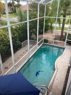 Una piscina con agua cristalina, rodeada por una cerca de metal blanco y un suelo de baldosas.