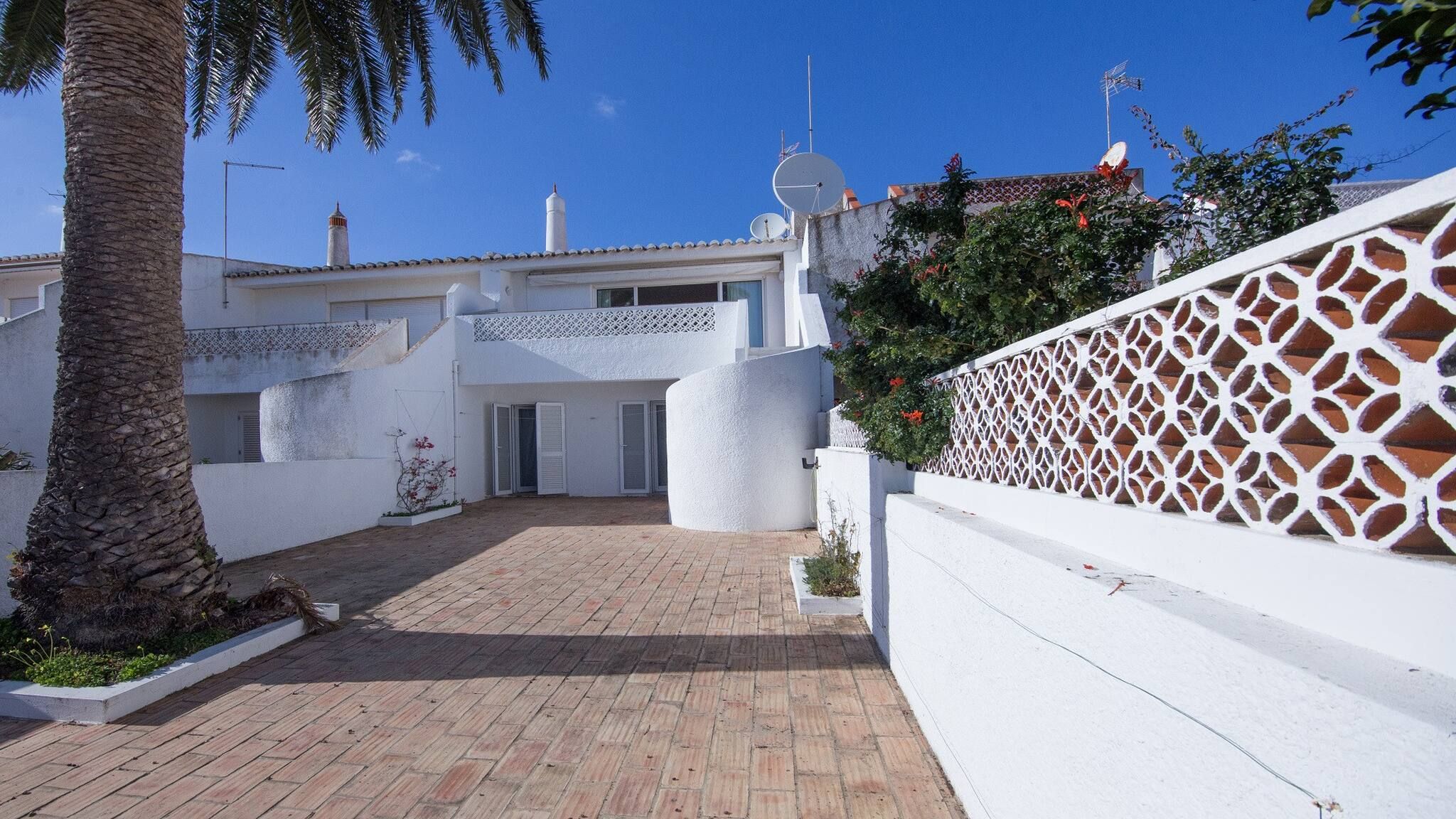 A courtyard with a paved walkway, white walls, and a palm tree.