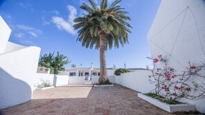 Une cour pavée avec un palmier, des murs blancs et, au fond, un bâtiment doté d’un toit en tuiles.