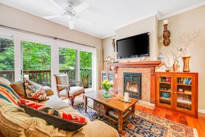 TV, fireplace, DVD player, books