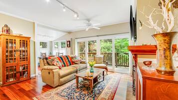 Televisión, chimenea, reproductor de DVD, libros